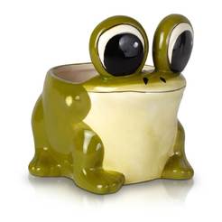 Potted pottery Frog 9 x 9cm