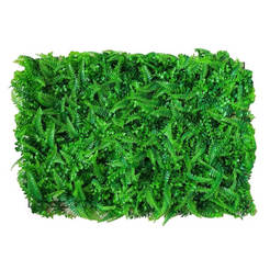 Decorative plate 40x60cm light green