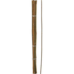 Garden plant stakes 60cm bamboo