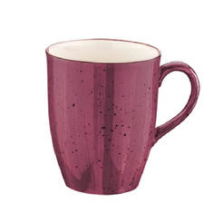 0602011362-chasha-porcelanova-330ml-bonna-aura-black-berry-01011247_246x246_pad_478b24840a