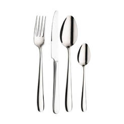 Cutlery 24 pieces Maitre 18/10 2.5 mm PINTINOX