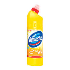 0605010029-domestos-0-750-ml-citrus-domestos_246x246_pad_478b24840a