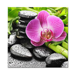 Картина Орхидея дзен 30 х 30см, принт стъкло, Glasspik, GL010