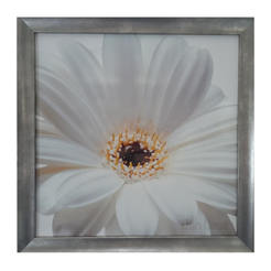 Wall picture 40 x 40 cm with MDF frame, glossy White gerbera