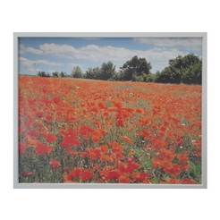 Picture 40 x 50 cm with PVC frame, field with wildflowers