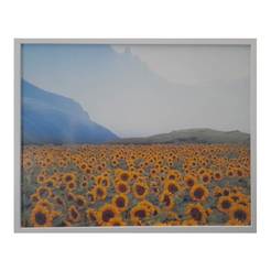Picture 40 x 50 cm with PVC frame, mountain with sunflower flowers