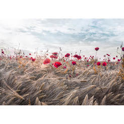 Painting Poppies - 75 x 100 cm, ditch