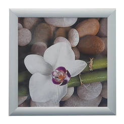 Картина 40 х 40см с рамка MDF, бяла орхидея и камъни