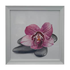 Картина 40 х 40см с рамка MDF, розова орхидея и камъни