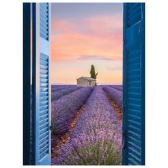 Wall painting, canvas canvas Lavender field 60 x 80 cm ST610