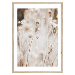 Wall painting 50 x 70 cm frame MDF - FP069 FRAMEPIC flowers