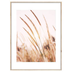 Настенная картина 50 x 70 см в раме МДФ - AB078 ARTBOX DIGI Grass 1