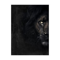 Картина за стена, платно канава 60х80см ST857 Черен лъв STYLER