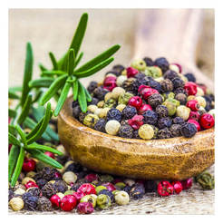 Glass wall painting 30x30cm GL142 Spices 2A STYLER