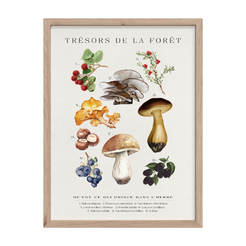 Картина 30х40см Modernpink FR520 гъби STYLER