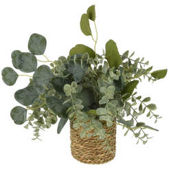 Pflanzenarrangement 25x25x30cm in einem Seegrastopf KoopMan