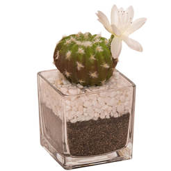 Artificial plant Cactus in a pot 10x10x15cm arrangement