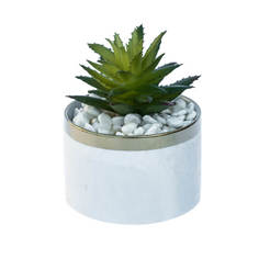 Композиция из искусственного растения «Кактус в мраморном горшке» размером 8x8x10 см