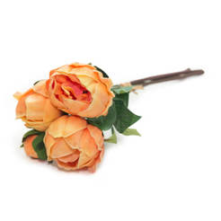 Аранжировка букет Божури 4018 TONYS DECOR