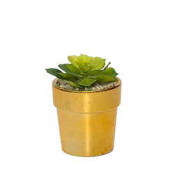 Artificial succulent plant in a pot 6 x 14 cm, model 2