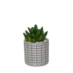 Artificial cactus in a pot 7.5 x 13 cm, green