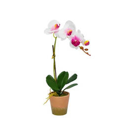 Искусственная орхидея в горшке 5,5 х 44 см, белая с розовым