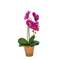 Изкуствена орхидея в кашпа 6.5 x 44см, циклама