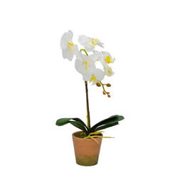 Изкуствена орхидея в кашпа 6.5 x 44см, бяло с жълто