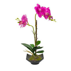 Arrangement Orchid 12.5x12.5x44cm cyclamen in a pot 4138