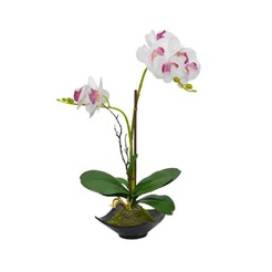 Аранжировка Орхидея 12.5х12.5х44см бяло с лилаво в кашпа 4140