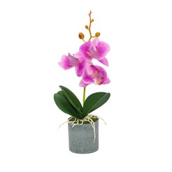 Orchideenarrangement 6x28cm lila im Topf 4148