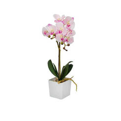 Orchideenarrangement, 9x10x50cm, rosa, im Topf