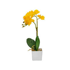 Orchideenarrangement, 9x10x50cm, gelb, im Topf