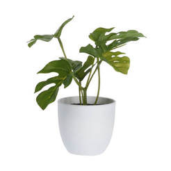 Искусственное растение в горшке из ПВХ 15 см.