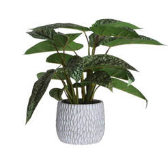 Artificial plant in a cement pot 50x50x39 cm