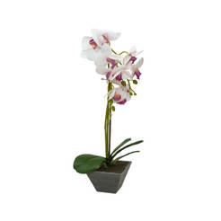 Аранжировка Орхидея 47см в кашпа бяло с лилаво
