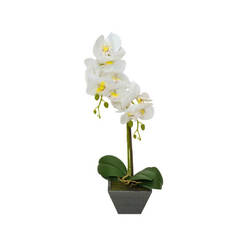 Аранжировка Орхидея 47см в кашпа бяло с жълто