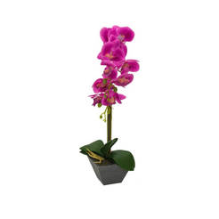 Orchid arrangement 47 cm in cyclamen pots