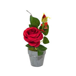 Arrangement Rose red in pots 25 cm