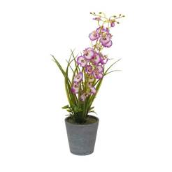 Arranged blooming flower in a pot 49 cm white with purple