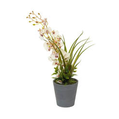 Arranged blooming flower in a pot 49 cm white