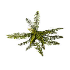 Композиция из зеленых веточек 42см