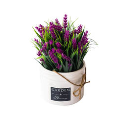 Композиция из растений в горшке цикламен 16x18,5см