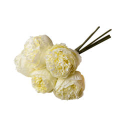 Bouquet arrangement Peonies 5pcs white