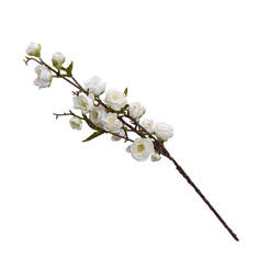 Композиция из веточек белого цвета