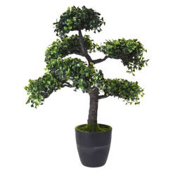 Аранжировка растение 50см в саксия