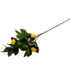 Lemon branch for arrangement 72cm with fruit