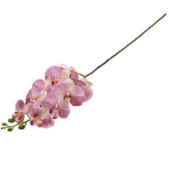 Стрък за аранжировка Орхидея 95см лилава