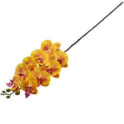 Stem for arrangement Orchid 95cm yellow