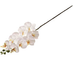 Композиция из орхидей, стебель 95 см, белый
